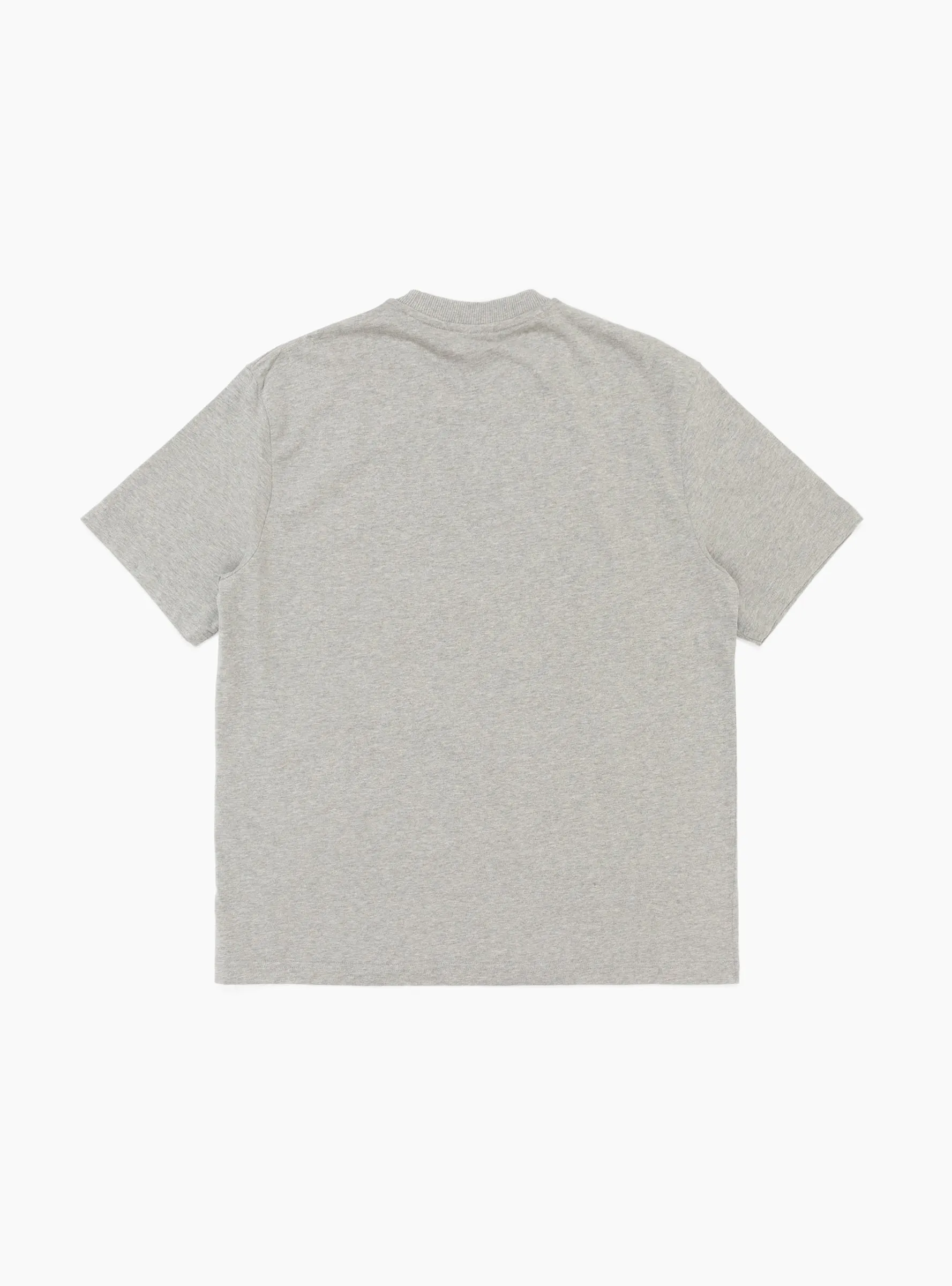 Boy T-shirt Grey