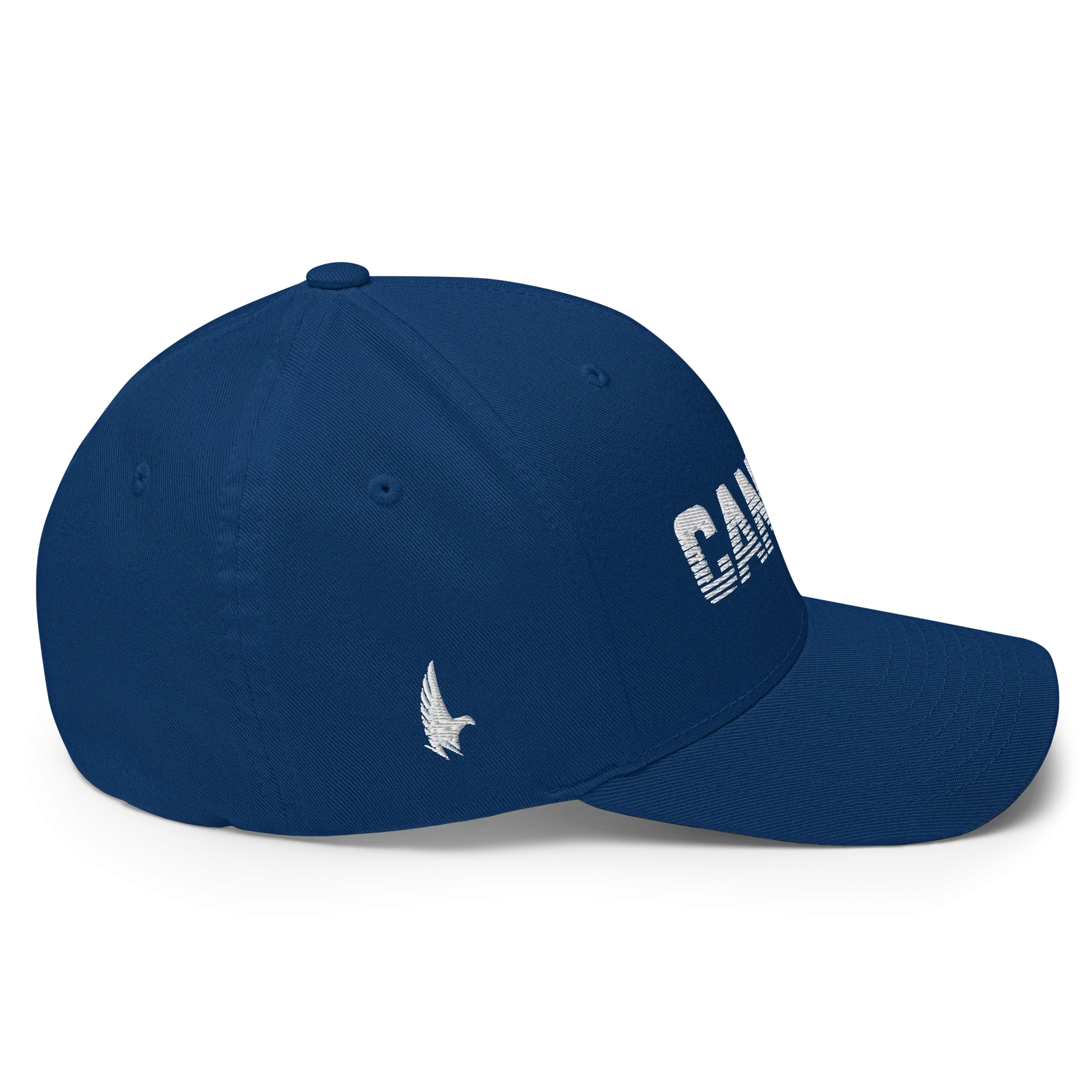 Cancer Fitted Hat