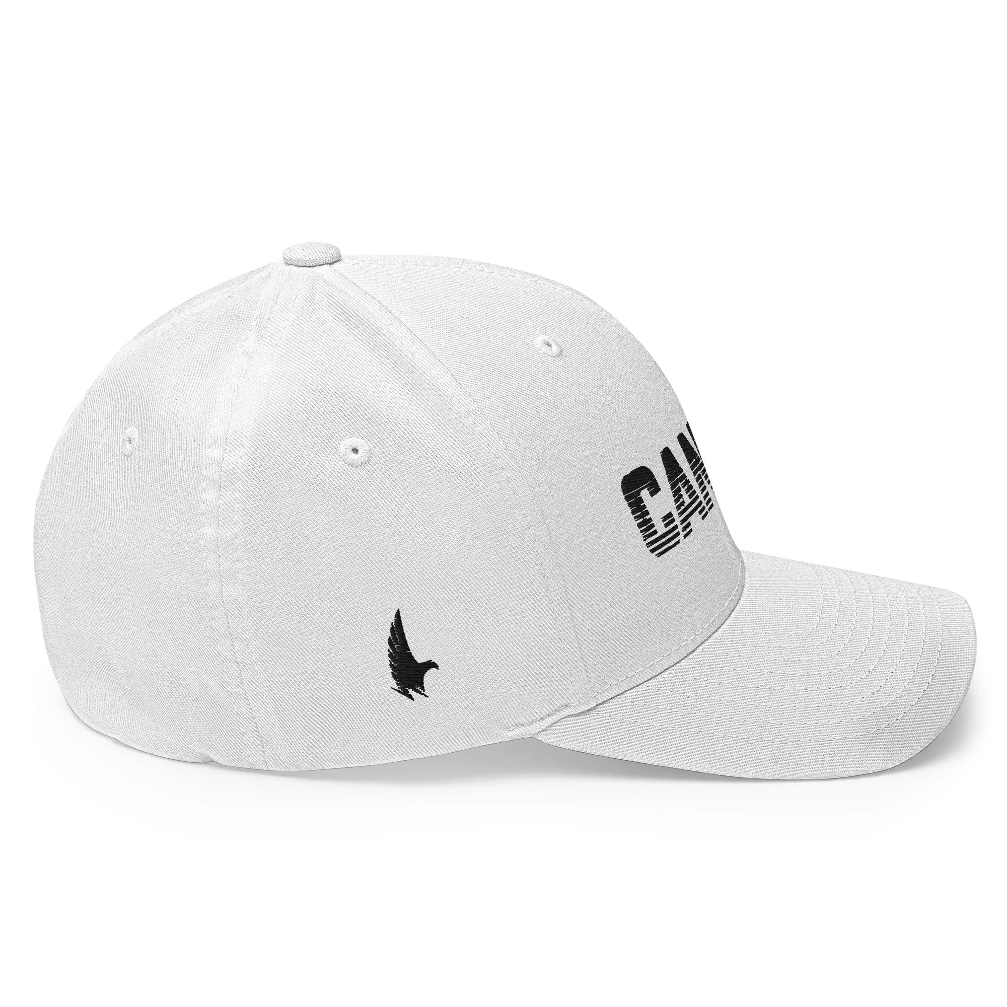 Cancer Fitted Hat